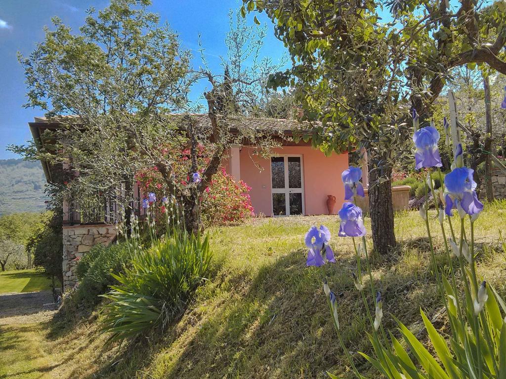 Tuscany Roses Arezzo Exterior photo